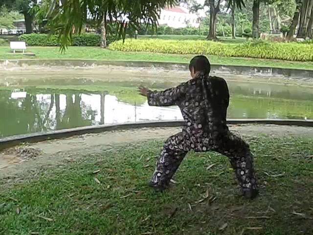 Shaolin 72 Chin-Na Techniques 2015